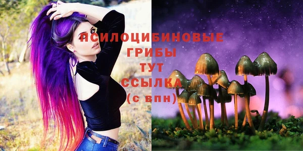 прущие крисы Беломорск