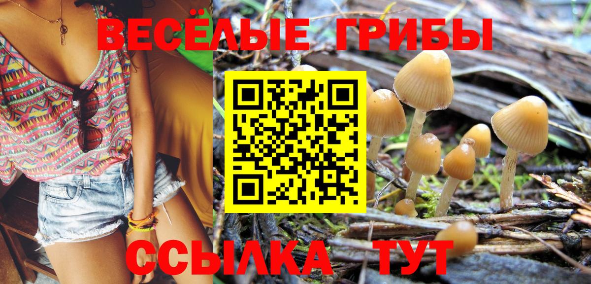 Галлюциногенные грибы прущие грибы Городец