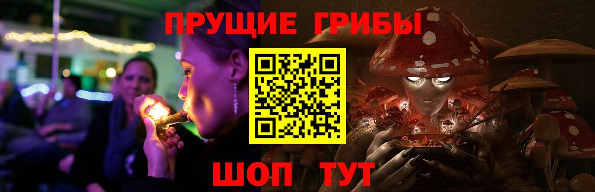 Городец  Псилоцибиновые грибы MAGIC MUSHROOMS  купить наркотики сайты  Вход с VPN 